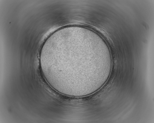 X0000112981363200909171330