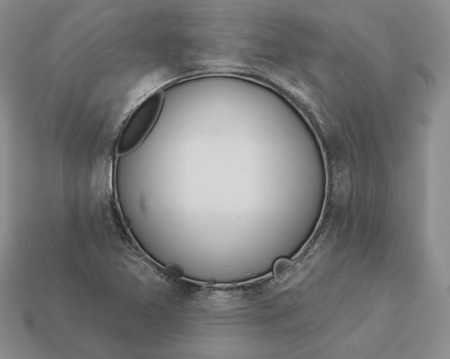 X0000112981365200909171330