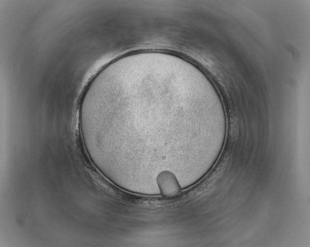 X0000112981366200909171330