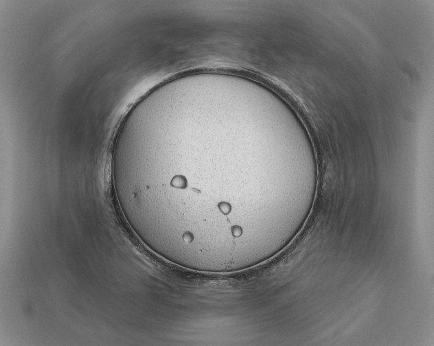 X0000112981367200909171330