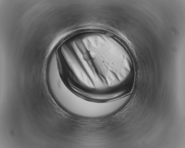 X0000112981368200909171330