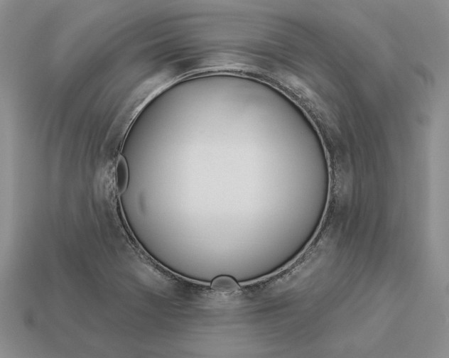 X0000112981369200909171330