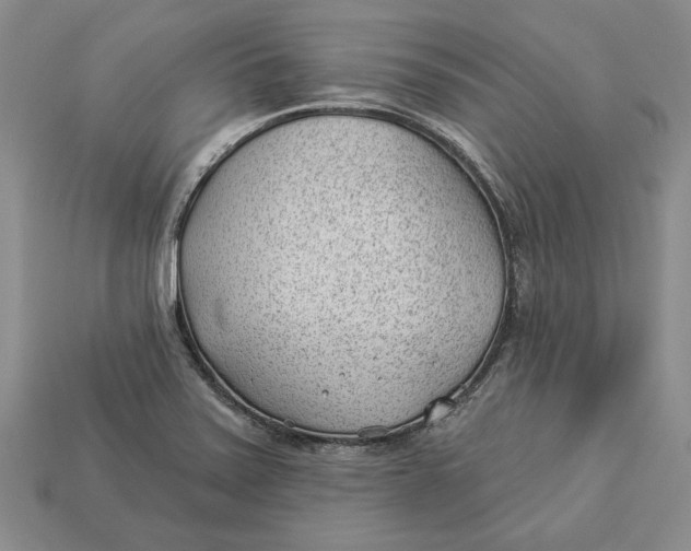 X0000112981371200909171330