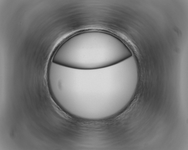 X0000112981372200909171330