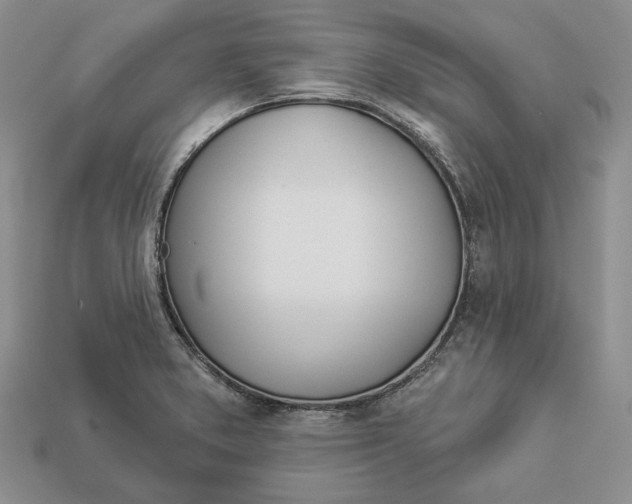 X0000112981373200909171330