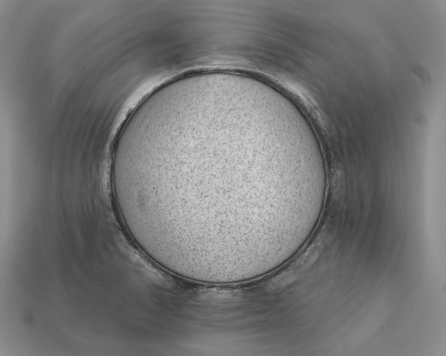 X0000112981374200909171330