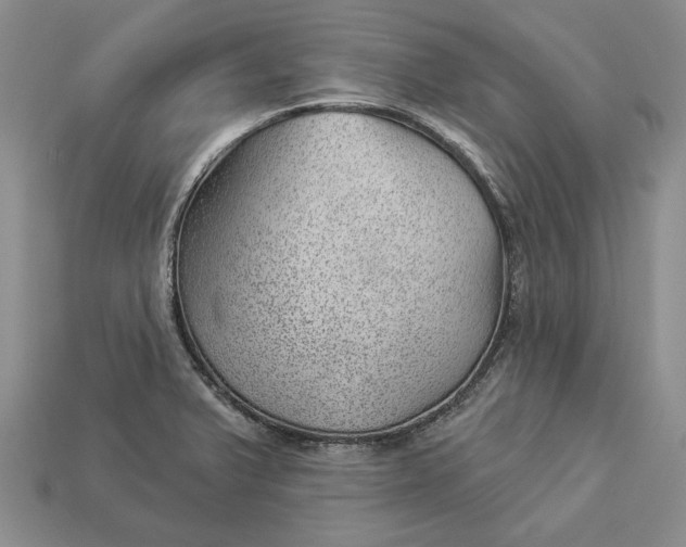 X0000112981375200909171330