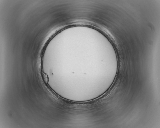 X0000112981376200909171330