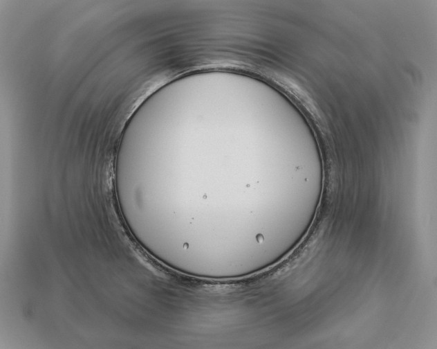 X0000112981377200909171330