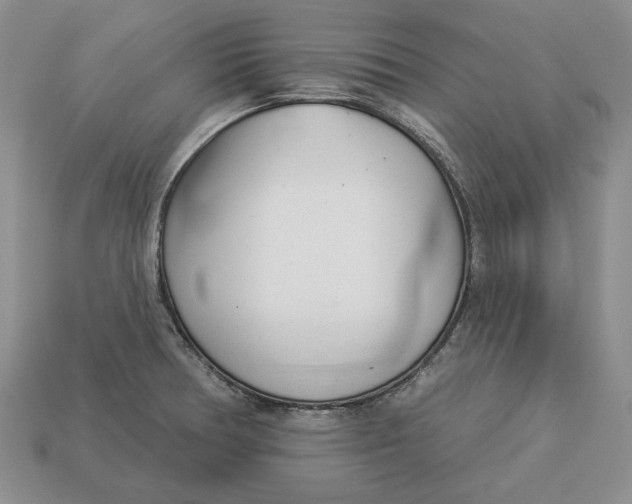 X0000112981378200909171330