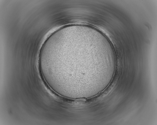 X0000112981379200909171330