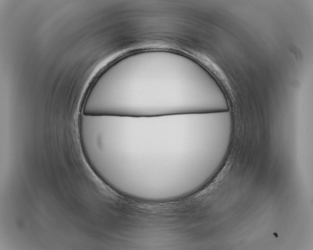 X0000112981380200909171330