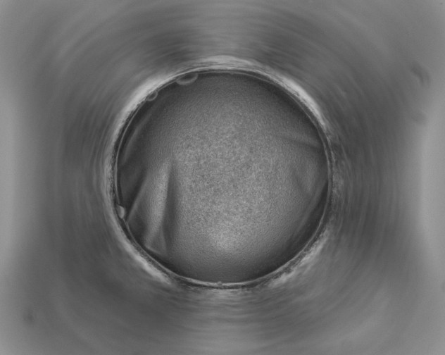 X0000112981381200909171330