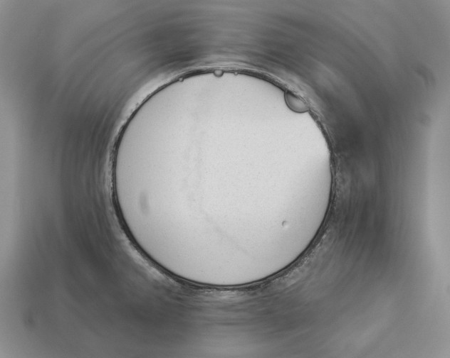 X0000112981382200909171330