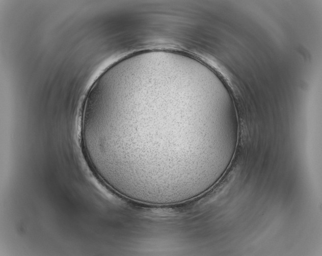 X0000112981383200909171330