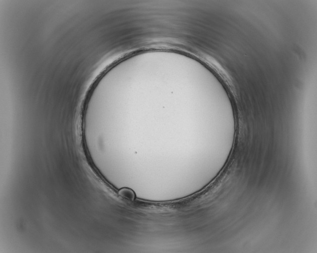 X0000112981384200909171330