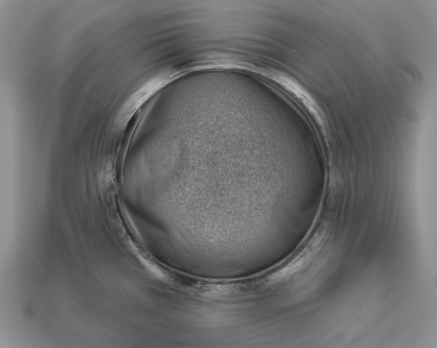 X0000112981385200909171330