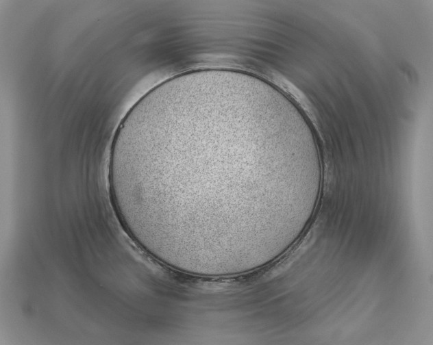 X0000112981386200909171330