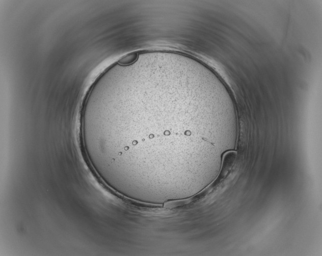 X0000112981387200909171330