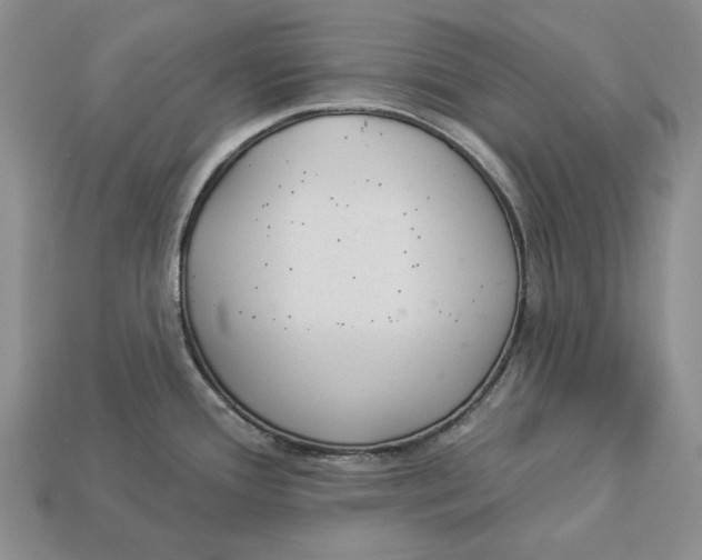 X0000112981388200909171330