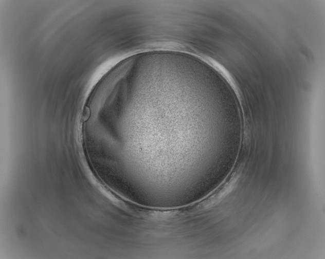 X0000112981389200909171330