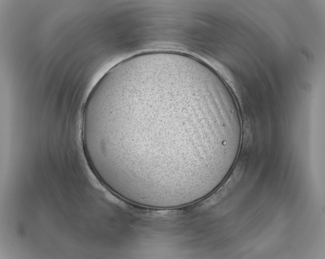 X0000112981390200909171330