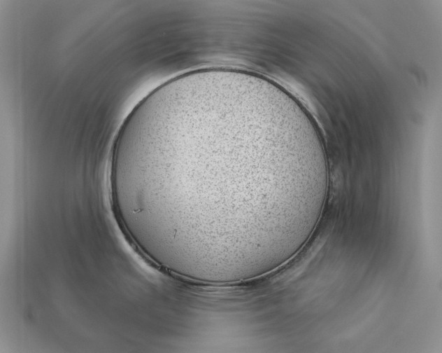 X0000112981391200909171329