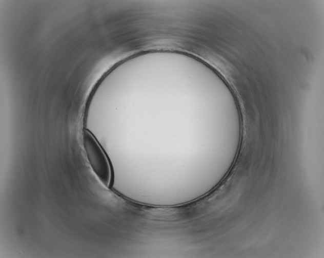 X0000112981392200909171329