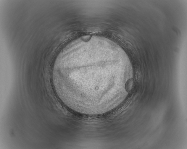 X0000112981393200909171329