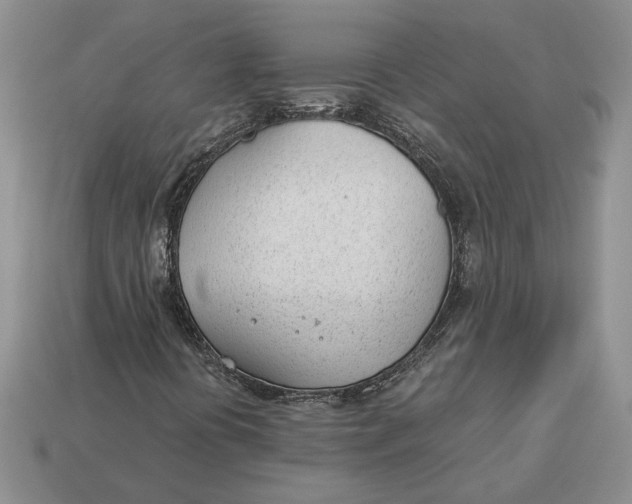 X0000112981394200909171329