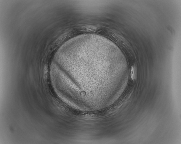 X0000112981395200909171329