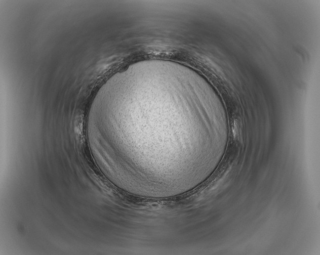 X0000112981396200909171329