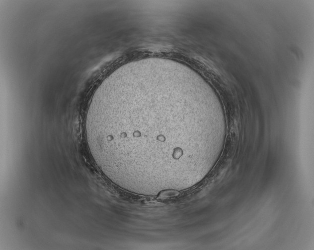 X0000112981398200909171329