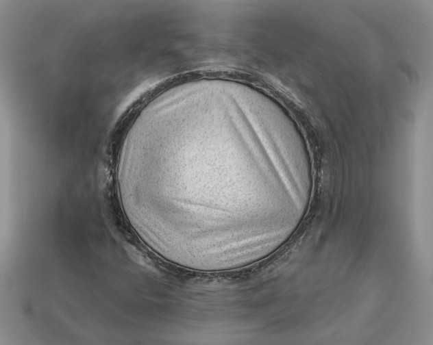 X0000112981400200909171329