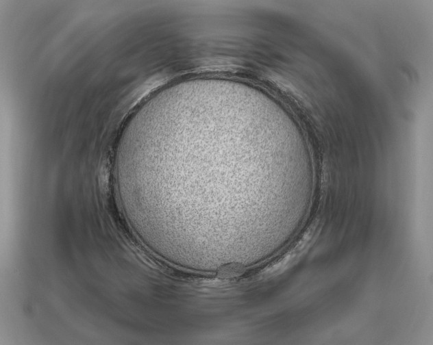 X0000112981401200909171329