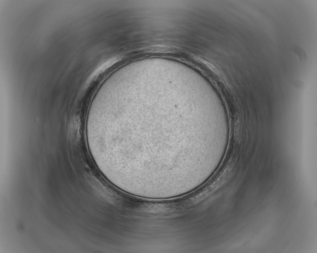 X0000112981402200909171329