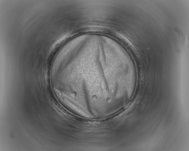 X0000112981403200909171329