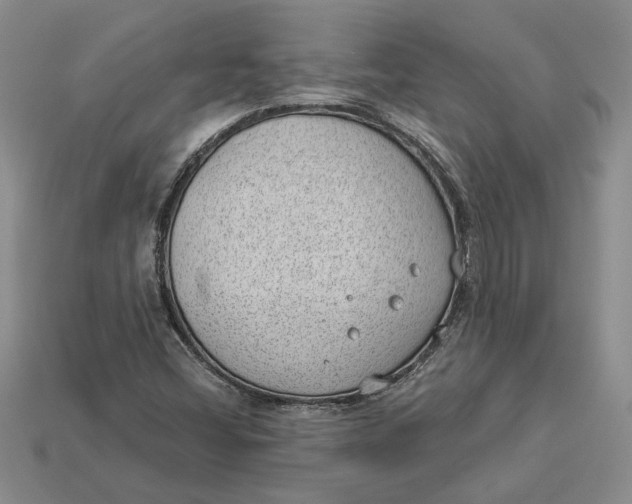 X0000112981404200909171329