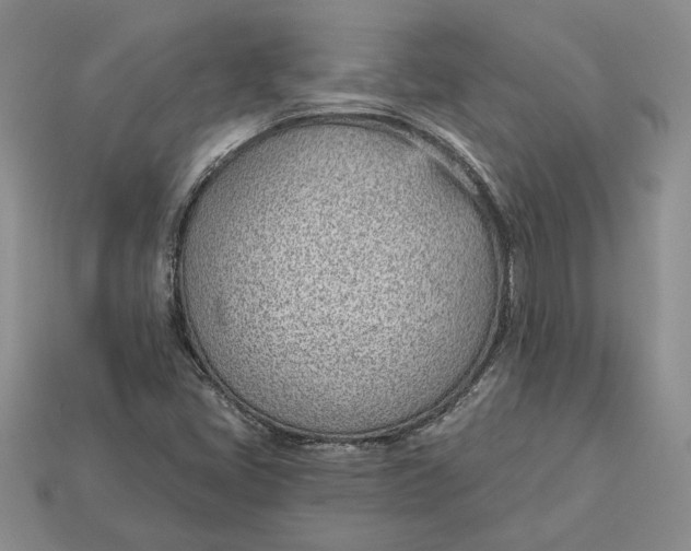 X0000112981405200909171329