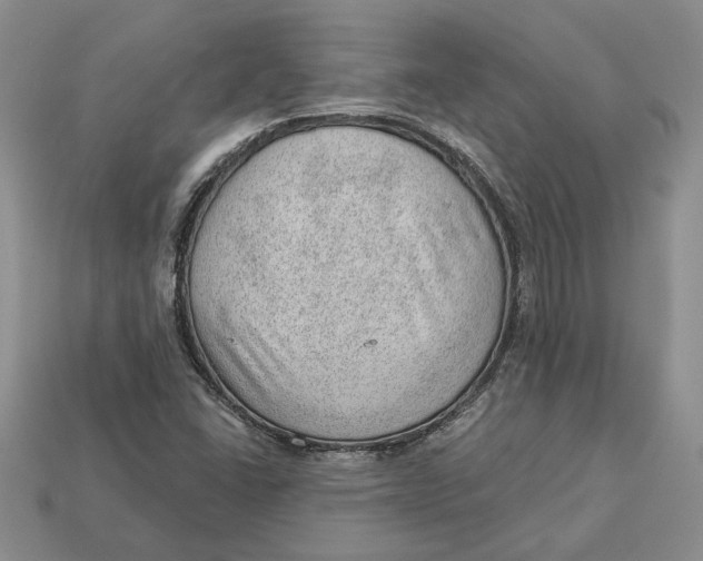 X0000112981406200909171329