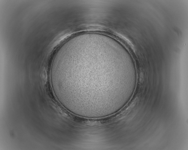 X0000112981407200909171329