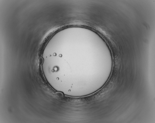 X0000112981408200909171329