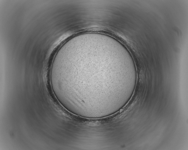 X0000112981410200909171329