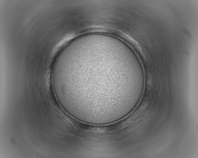 X0000112981411200909171329