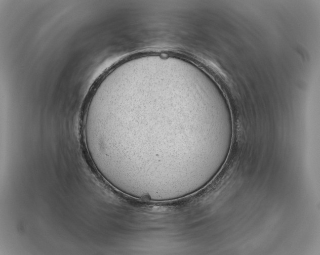 X0000112981412200909171329