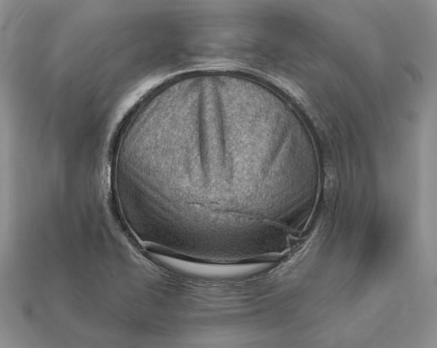 X0000112981414200909171329