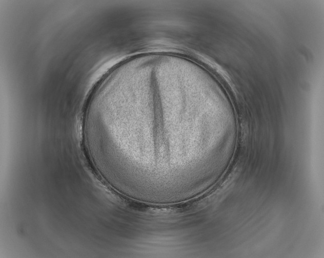 X0000112981415200909171329