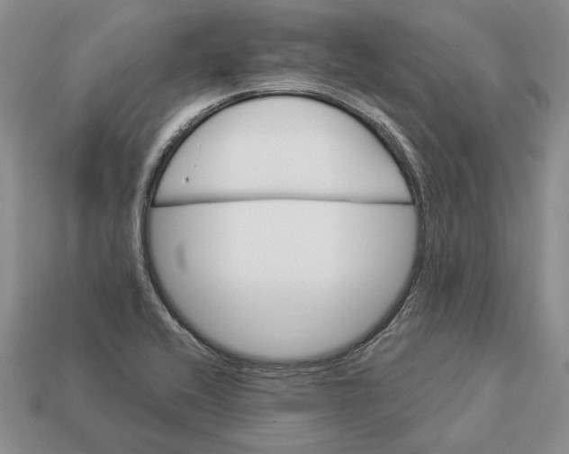 X0000112981416200909171329