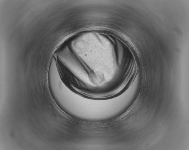 X0000112981417200909171329