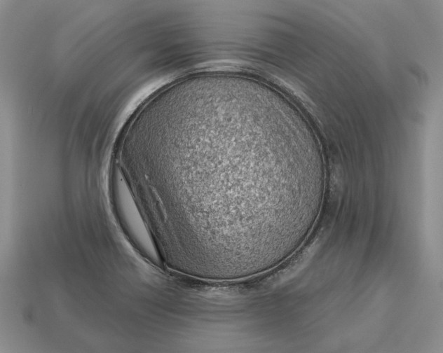 X0000112981418200909171329